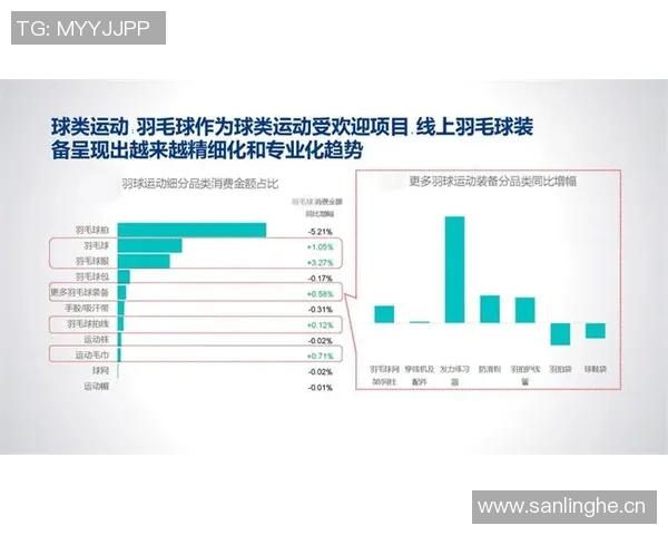 杭州羽毛球队力量表现的数据分析与提升策略探讨 杭州羽毛球队力量表现的数据分析与提升策略探讨