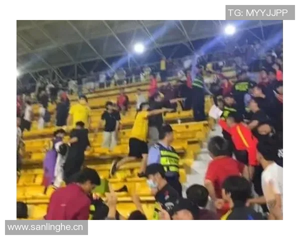 广州排球队比赛经验引发热议球迷观点各异的背后故事